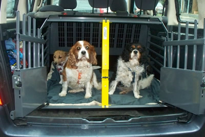 crate for mercedes