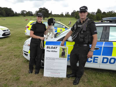 surrey police dogs