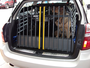cage for citroen
